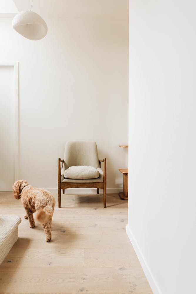 The Steiner Collection - Paulas Home & Living