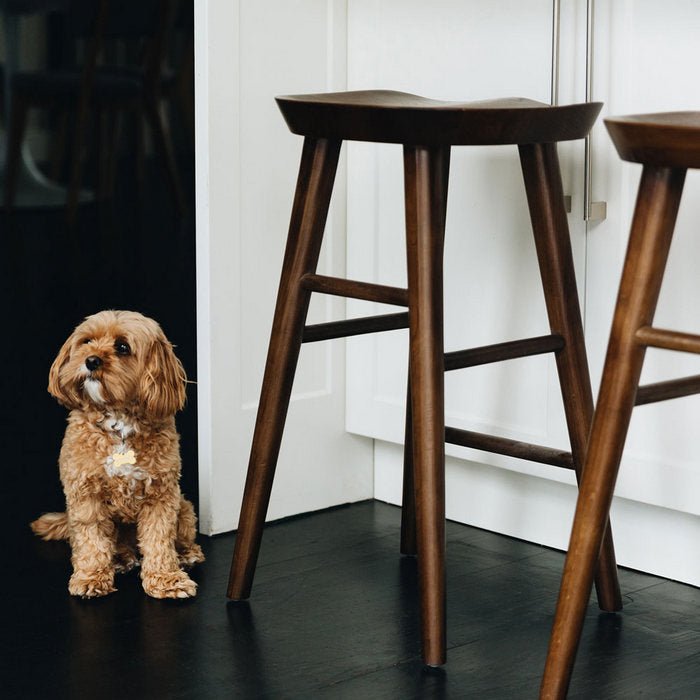 Fuji Barstool - Deep Oak - Paulas Home & Living