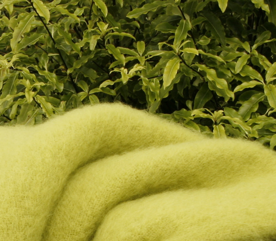 Throws - Paulas Home & Living