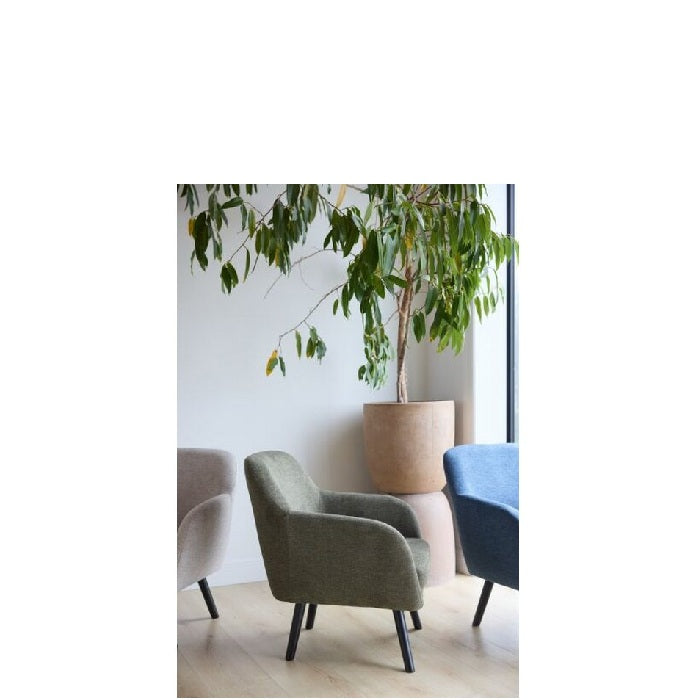 Donna Armchair with colours to suit