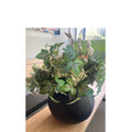 Ivy Bush - Artificial Floral Arrangement & Vase