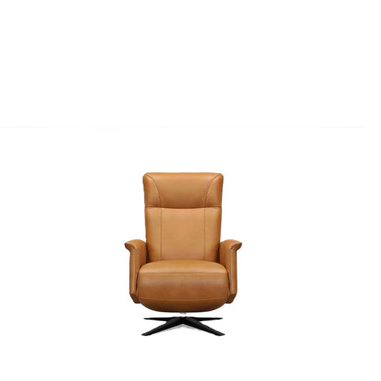 Palve Electric Recliner - Leather