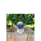 Pug Dog – Cute Decor for the Home - Garden or Fence