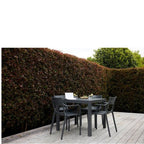 Alfresco Matzo & Villa Dining Set - 5 Pce - Paulas Home & Living