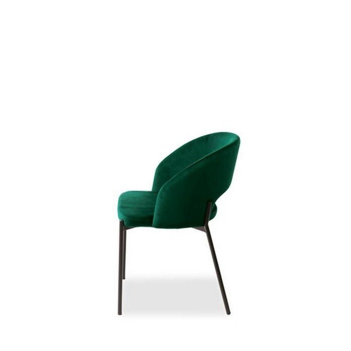 Alice Dining Chair - Confort and Style - Paulas Home & Living