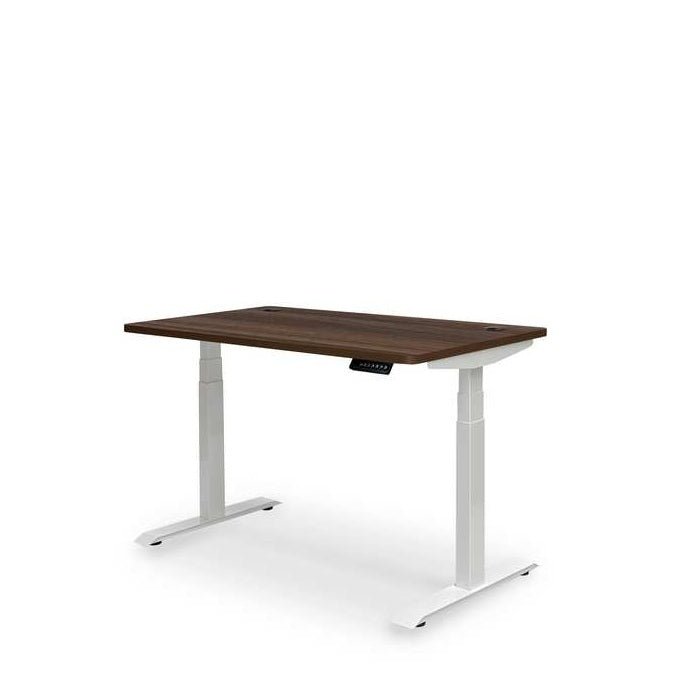 Altitude Standing Desk - Elevate your workspace - Paulas Home & Living