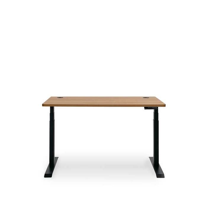 Altitude Standing Desk - Elevate your workspace - Paulas Home & Living