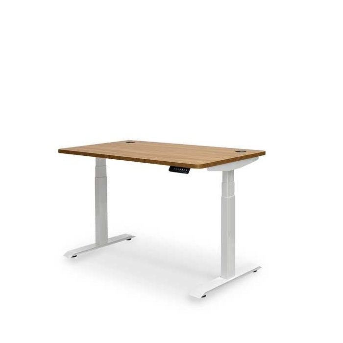 Altitude Standing Desk - Elevate your workspace - Paulas Home & Living