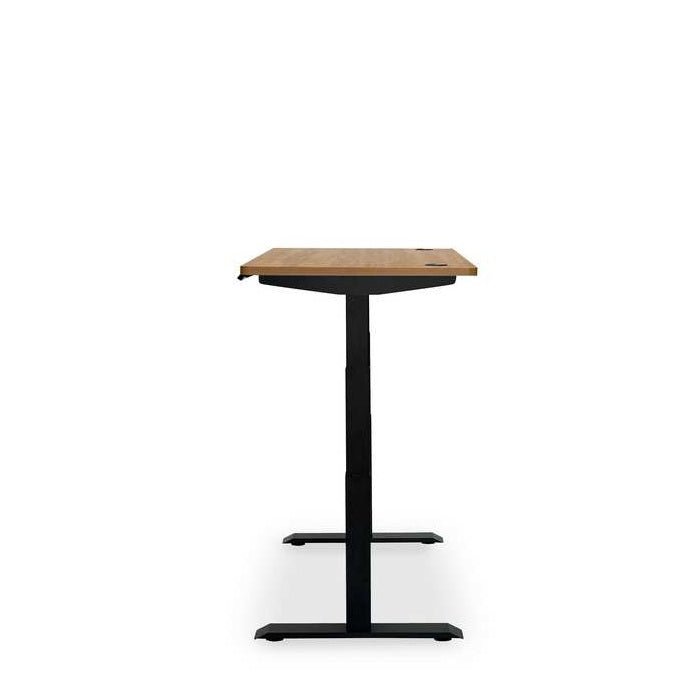 Altitude Standing Desk - Elevate your workspace - Paulas Home & Living