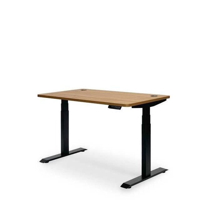 Altitude Standing Desk - Elevate your workspace - Paulas Home & Living