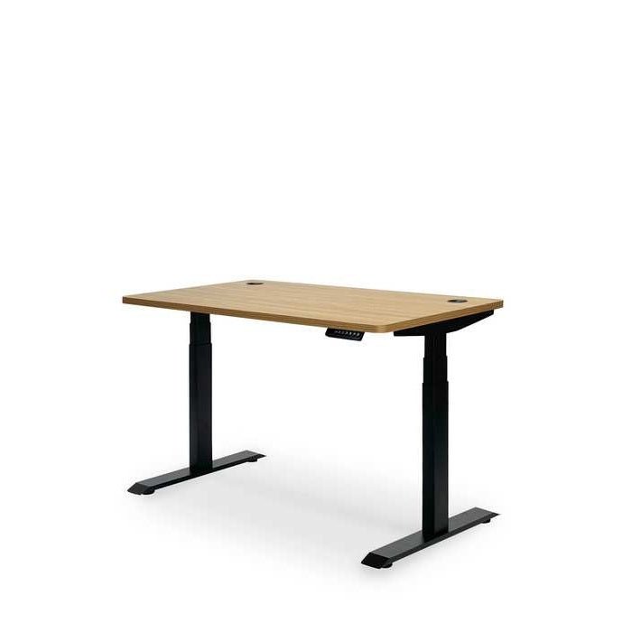 Altitude Standing Desk - Elevate your workspace - Paulas Home & Living