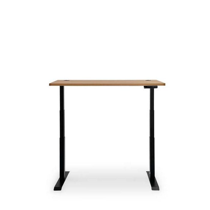 Altitude Standing Desk - Elevate your workspace - Paulas Home & Living