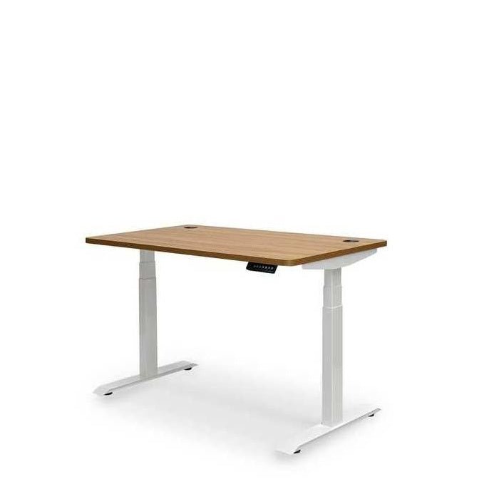 Altitude Standing Desk - Elevate your workspace - Paulas Home & Living