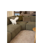 Aurora Modular Lounge Suite – Create the perfect suite for your space - Paulas Home & Living
