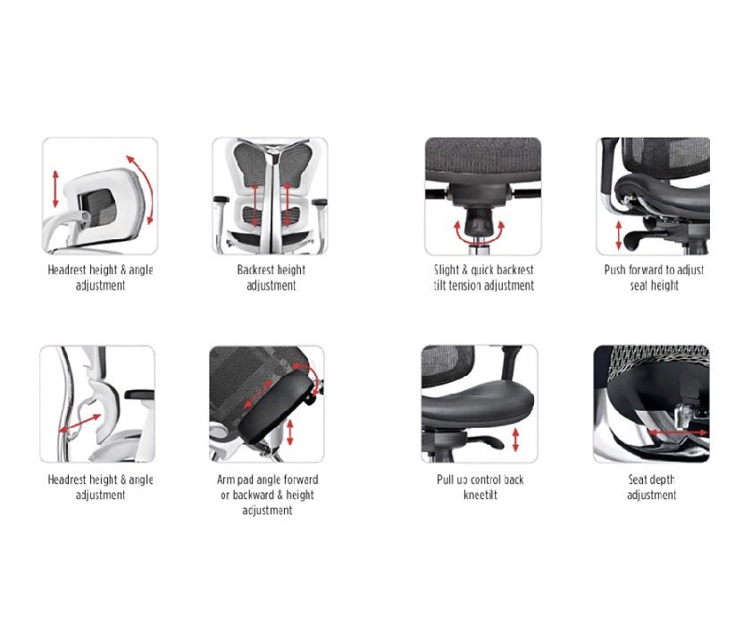 Avanti Office Chair - All Day Comfort - Paulas Home & Living