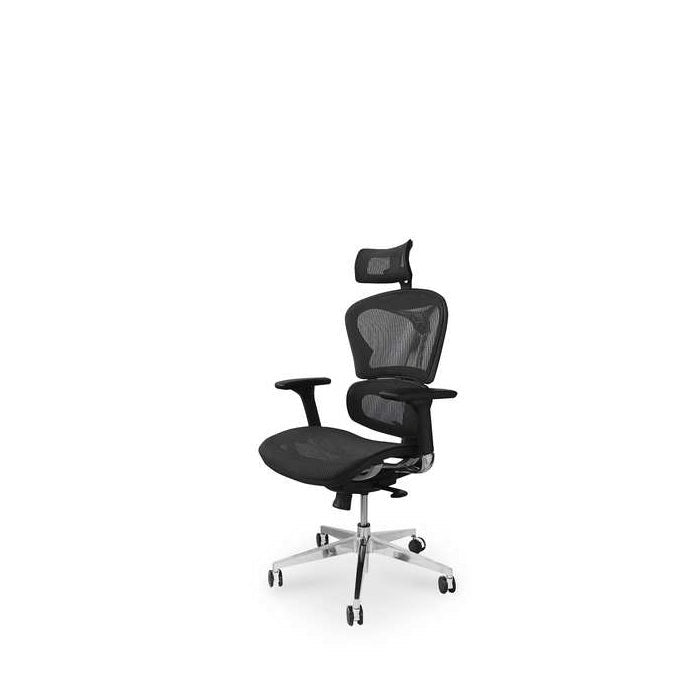 Avanti Office Chair - All Day Comfort - Paulas Home & Living