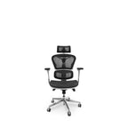Avanti Office Chair - All Day Comfort - Paulas Home & Living