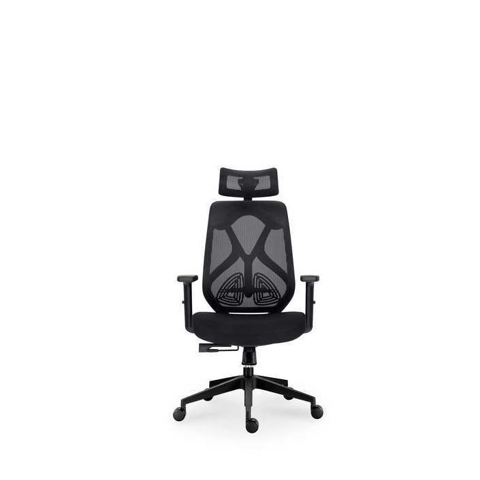 Aviva Office Chair - Ergonomic - Paulas Home & Living