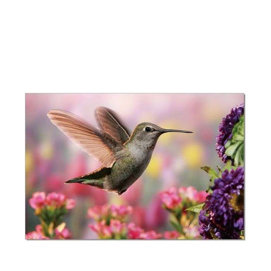 Bird in Flight 1200w x 800h Perpex Wall Art - Paulas Home & Living