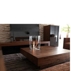 Ecosmart Burner: AB3 - Paulas Home & Living