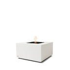 Ecosmart Fire: Chaser 38 + AB8 Burner - Paulas Home & Living