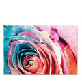 Flower Awakening 1200w x 800h Perspex Wall Art - Paulas Home & Living