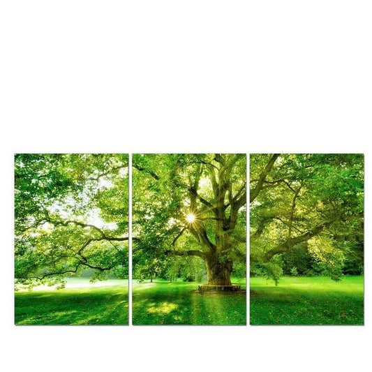 Green Tree 3pc 1800w x 900h Perspex Wall Art - Paulas Home & Living