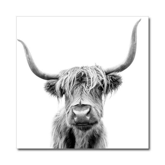 Highland Cow 1000sq Perspex Wall Art - Paulas Home & Living