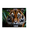 Jungle Monarch Perspex Art 1200x800 - NEW - Paulas Home & Living
