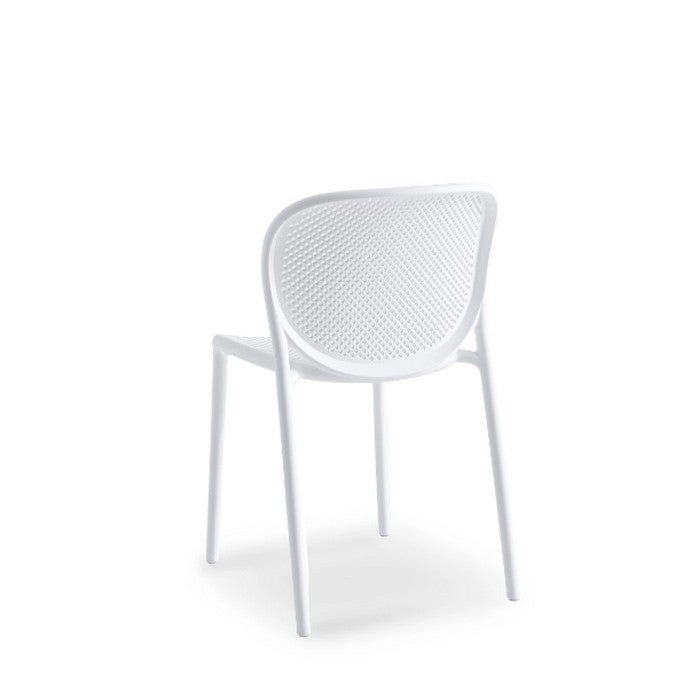 Marco Chair - Black or White - Paulas Home & Living