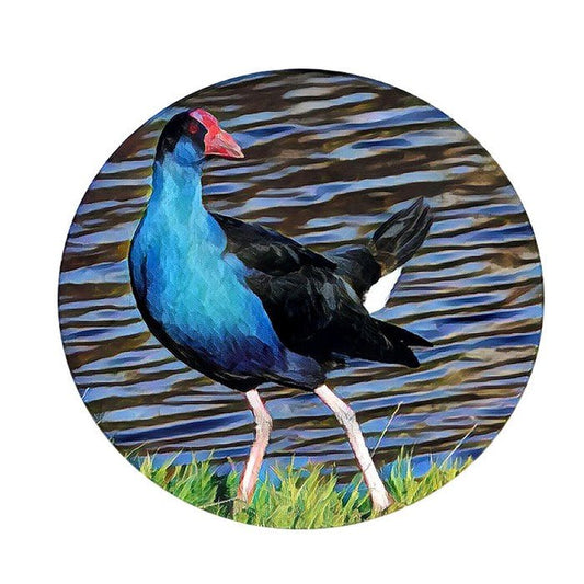 New Zealand Birds Coaster Set - Glass - Paulas Home & Living