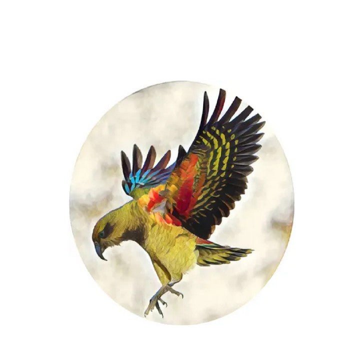 New Zealand Birds Coaster Set - Glass - Paulas Home & Living