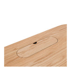 Palliser Desk - Paulas Home & Living
