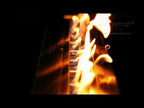 Ecosmart Fire: Wharf 65 + XL900 Burner