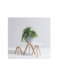 Radius Side Table - Nest - Paulas Home & Living