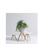 Radius Side Table - Nest - Paulas Home & Living