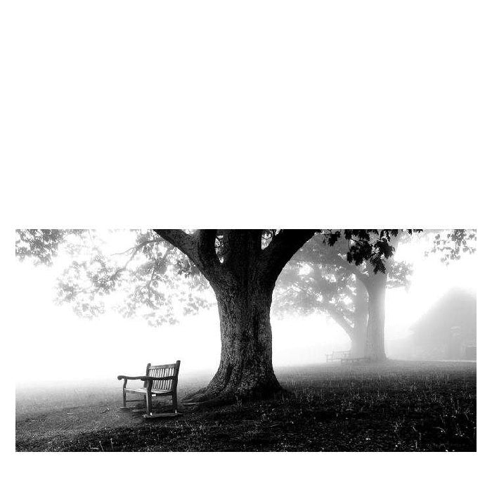 Serenity 2000w x 1000h Perspex Wall Art - Paulas Home & Living