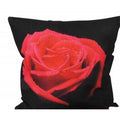 Single Red Rose Cushion - Paulas Home & Living