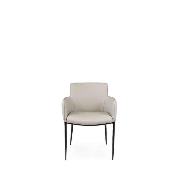Tapi Dining Chair - Fabric or Leather - Paulas Home & Living