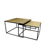 Tonto Coffee Tables Set of 2 - Antique Brass - Paulas Home & Living