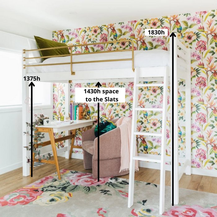 Tween Loft Bed King Single - Paulas Home & Living
