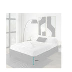 Upholstered Base 250h or 350h - Paulas Home & Living