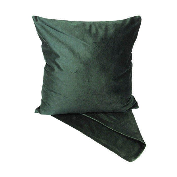 Velvet Cushion - Paulas Home & Living