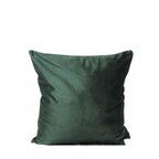 Velvet Cushion - Paulas Home & Living