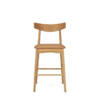 Wagner Barstool - 660 Seat Height - Colours to suit - Paulas Home & Living