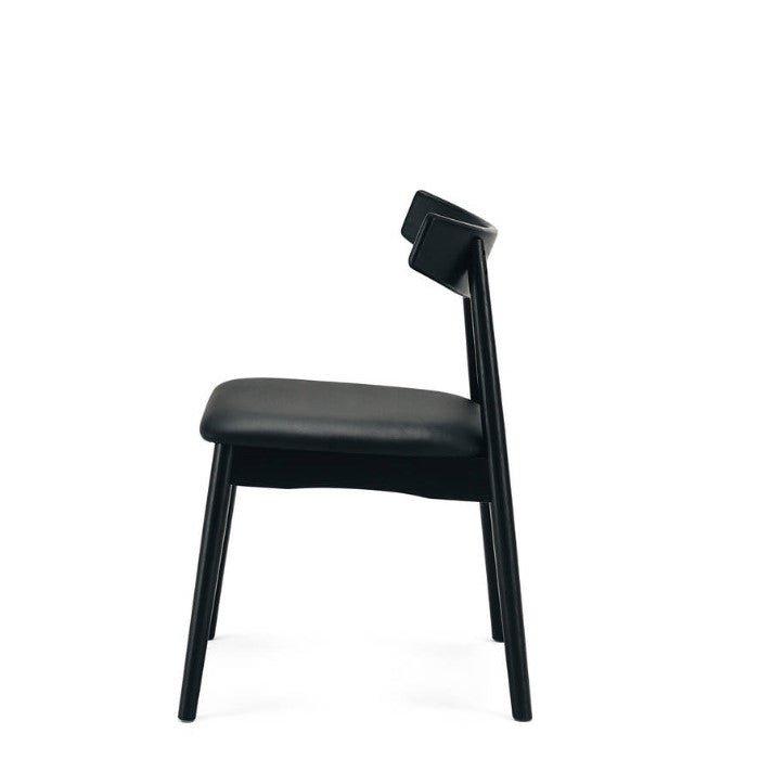 Wagner Dining Chair - Black Oak - Paulas Home & Living