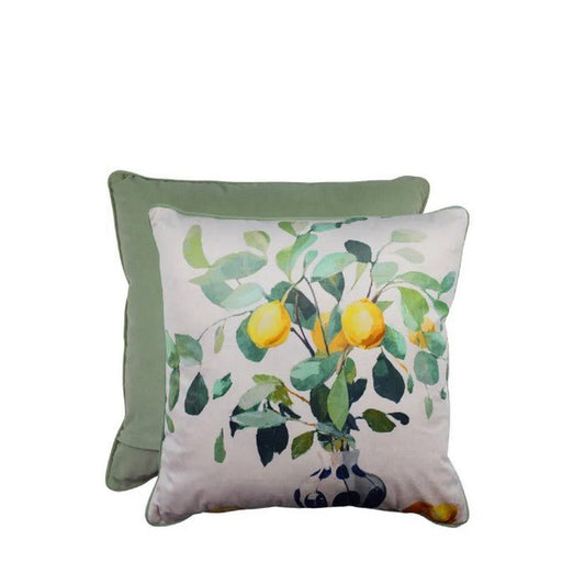 Zestful Display Velvet Cushion - Paulas Home & Living