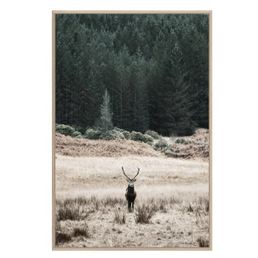 Solitude - Framed Canvas Print - Only x1 available