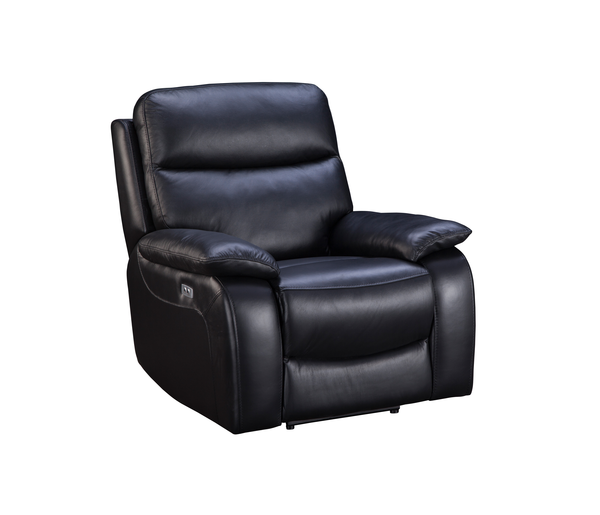 Taylor Power Recliner1