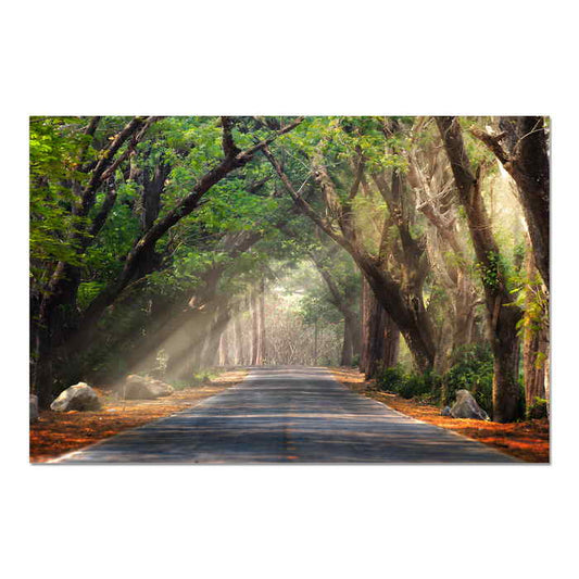 Green Tree Canopy Over Road 1200x800 Perspex Wall Art